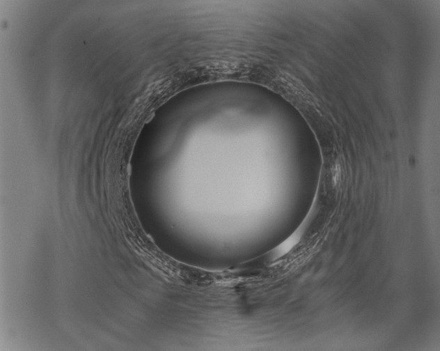 X0000069810961200605191041