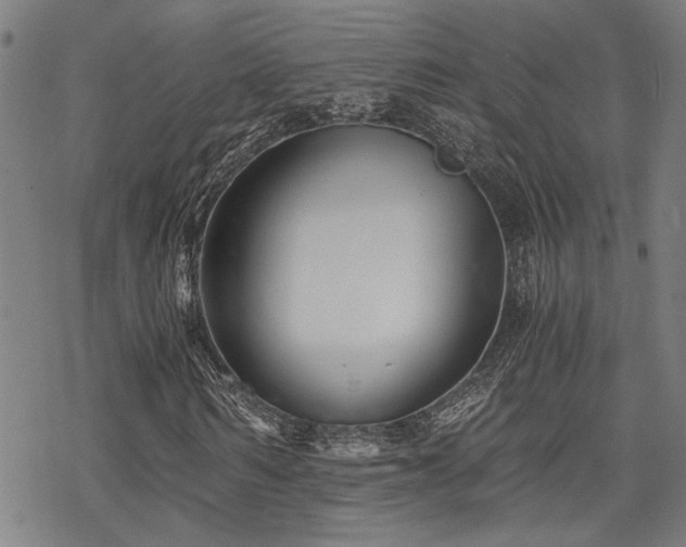 X0000069810962200605191041