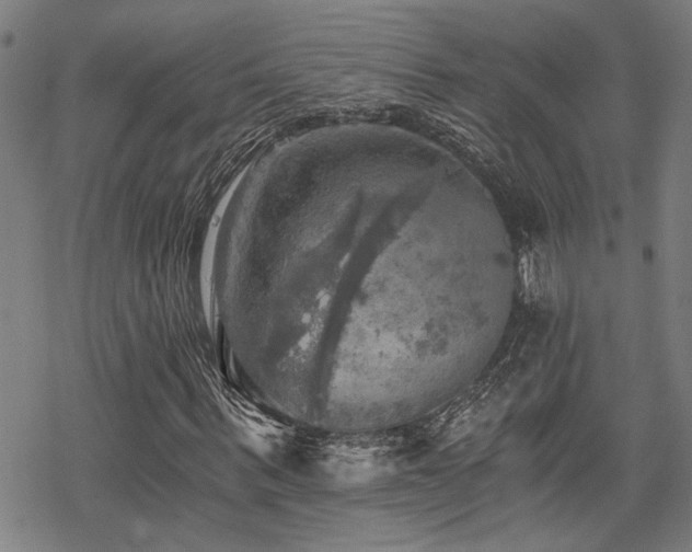 X0000069810963200605191041