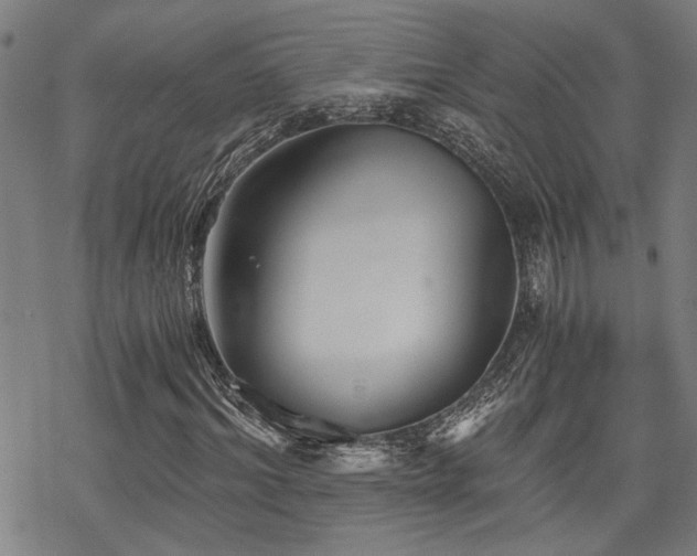 X0000069810964200605191041