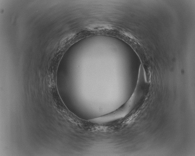 X0000069810965200605191041