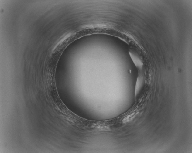 X0000069810967200605191041