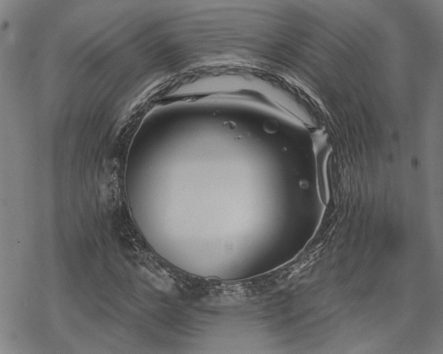 X0000069810968200605191041