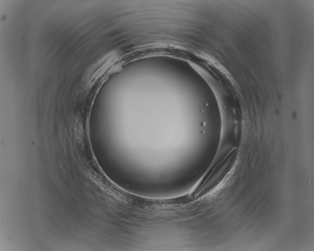 X0000069810969200605191041