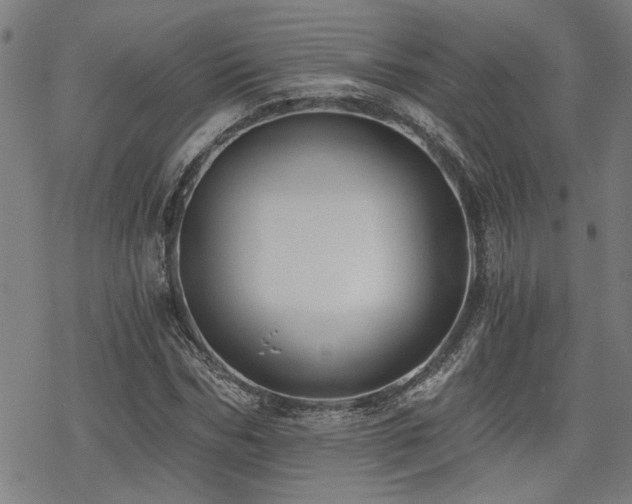 X0000069810970200605191041