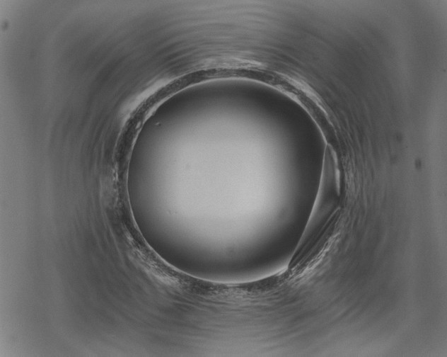 X0000069810971200605191041