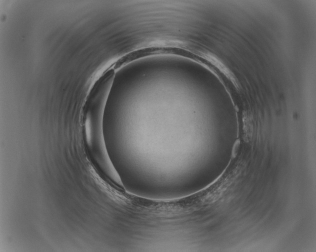 X0000069810972200605191041