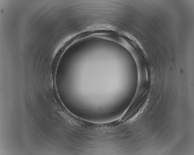 X0000069810973200605191041