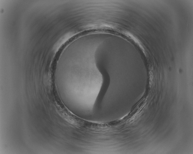 X0000069810975200605191041