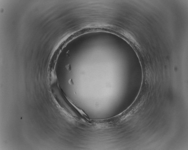 X0000069810976200605191041