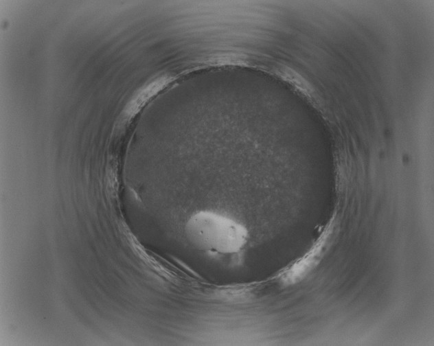 X0000069810977200605191041