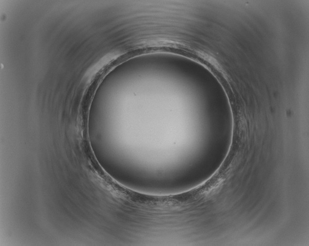 X0000069810979200605191041