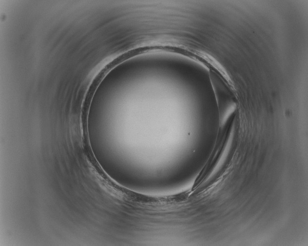 X0000069810980200605191041