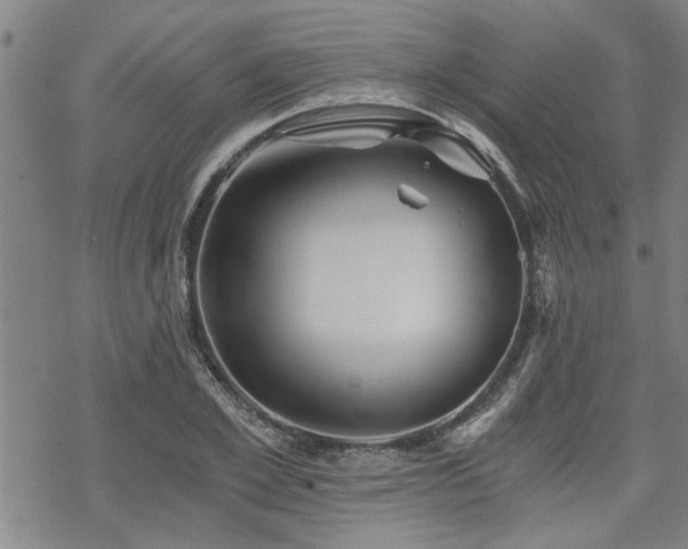 X0000069810981200605191041