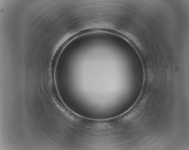 X0000069810982200605191041