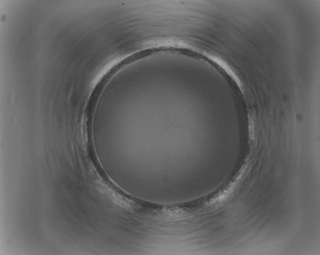 X0000069810983200605191041