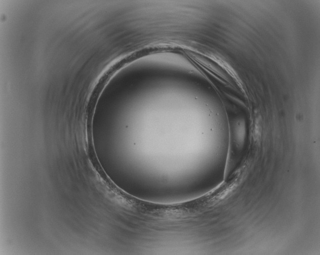 X0000069810984200605191041