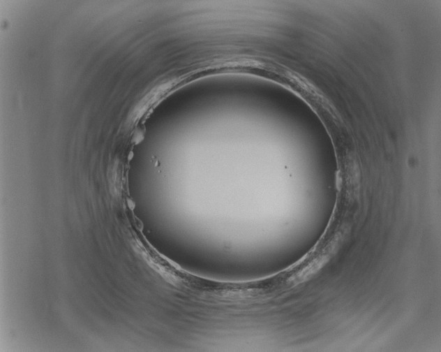 X0000069810985200605191041