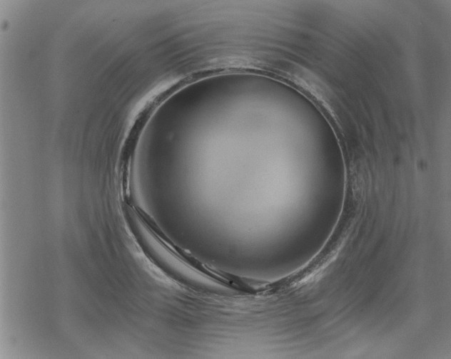 X0000069810987200605191041