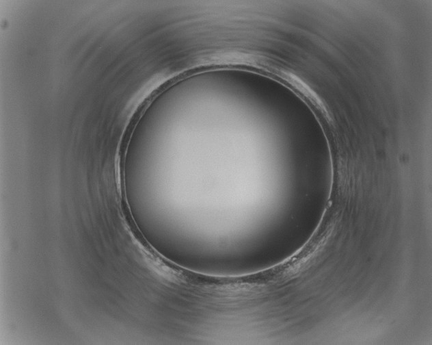 X0000069810988200605191041