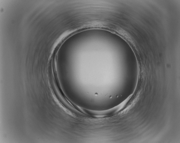 X0000069810989200605191041