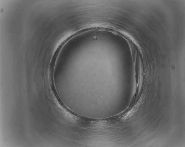 X0000069810991200605191041