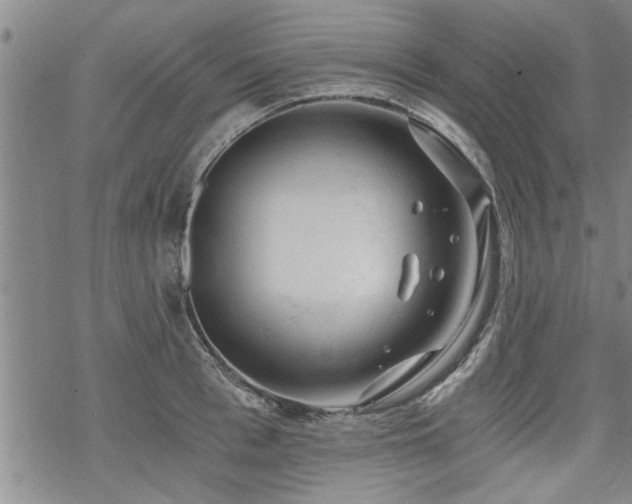 X0000069810993200605191041