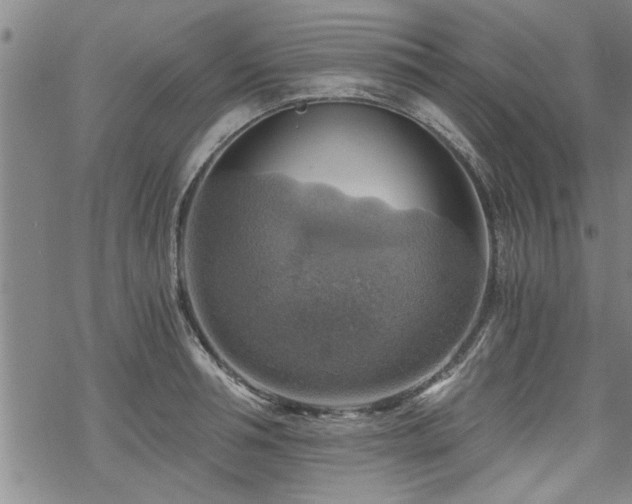 X0000069810994200605191041