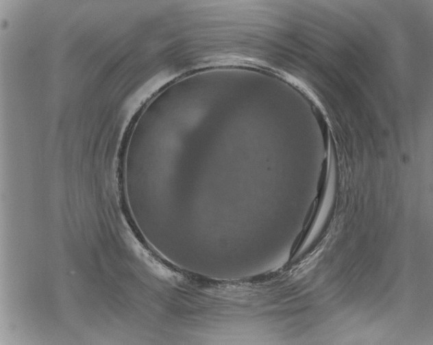 X0000069810995200605191041