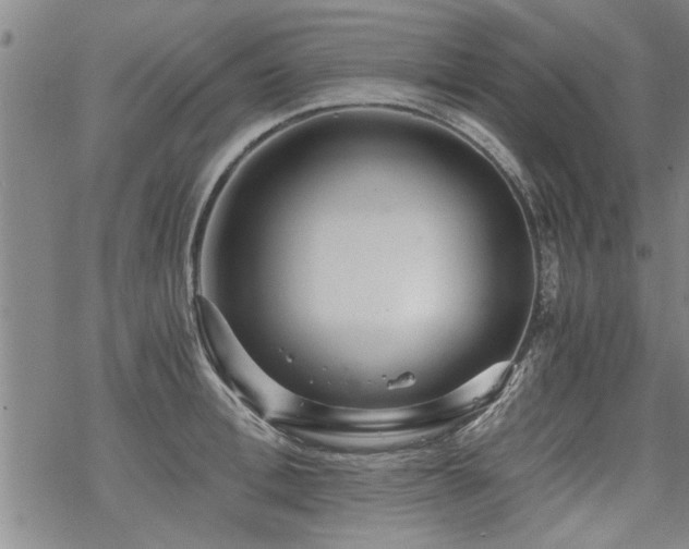 X0000069810996200605191041