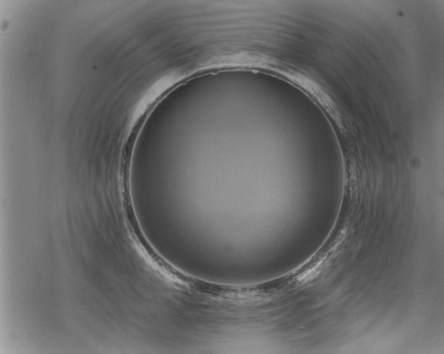 X0000069810998200605191041