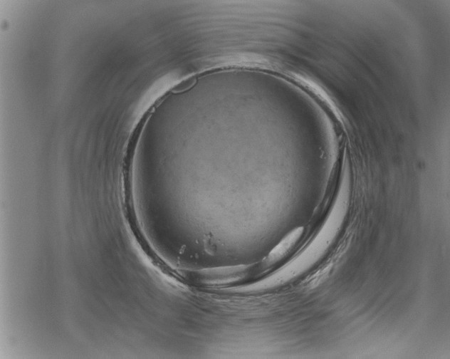 X0000069810999200605191041