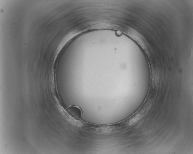 X0000069811000200605191041