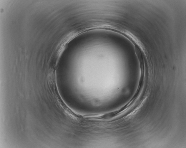 X0000069811001200605191041