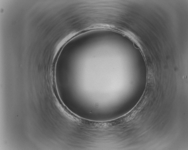 X0000069811003200605191041