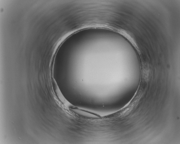 X0000069811004200605191041