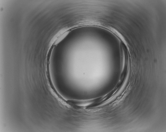 X0000069811005200605191041