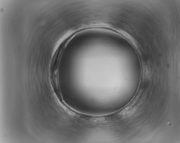 X0000069811006200605191041