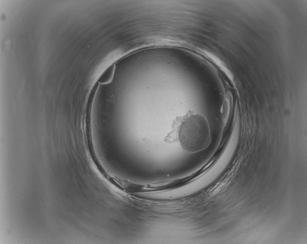 X0000069811007200605191041