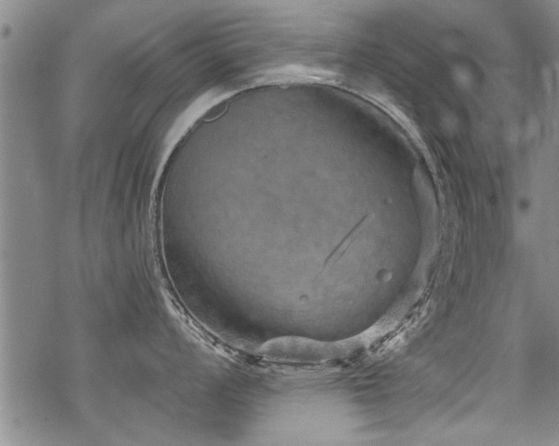 X0000069811008200605191041