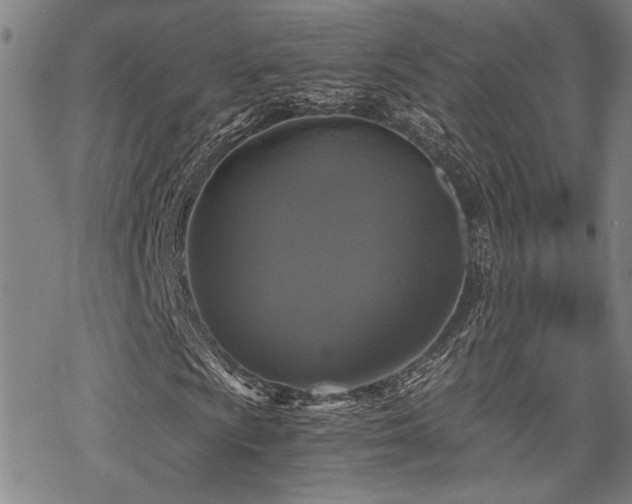 X0000069811009200605191040