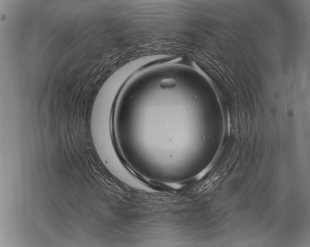 X0000069811010200605191040