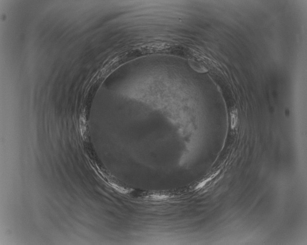 X0000069811011200605191040