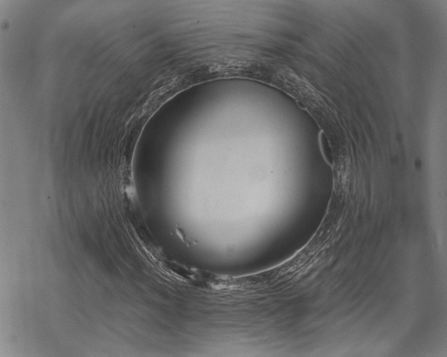 X0000069811012200605191040