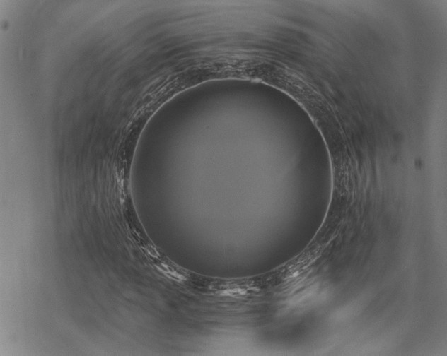 X0000069811013200605191040