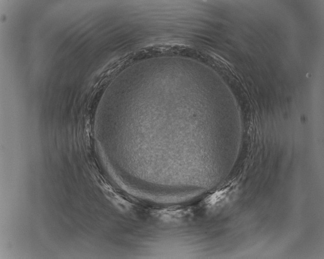 X0000069811014200605191040