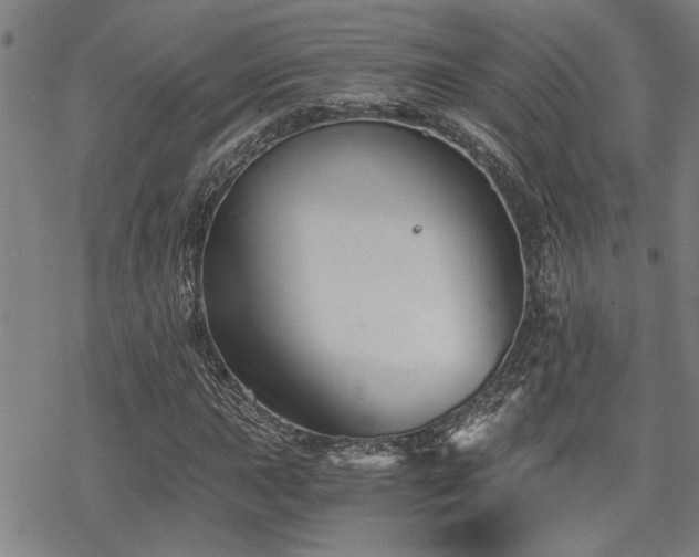 X0000069811015200605191040