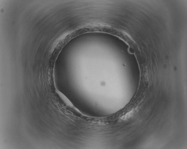 X0000069811016200605191040