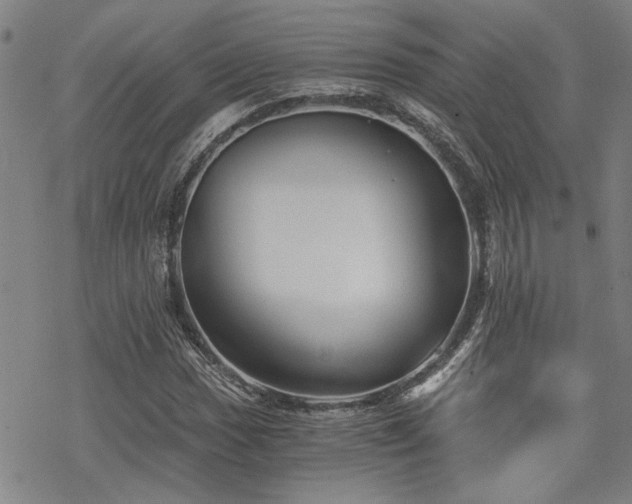 X0000069811017200605191040