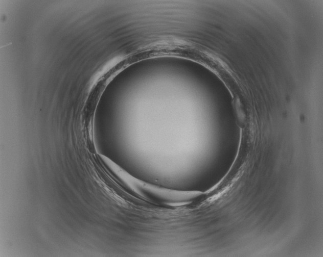 X0000069811018200605191040